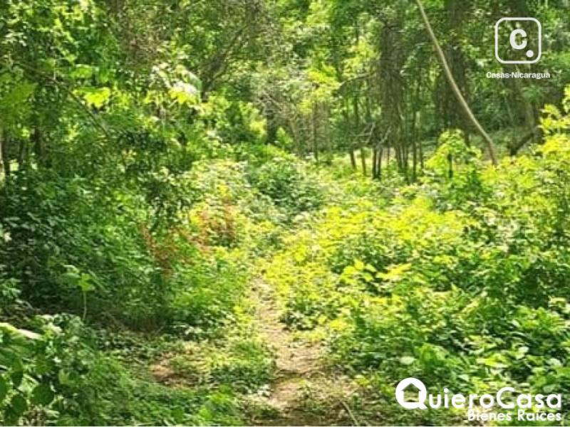 Terreno en venta en Santo Domingo, Managua – 1,746 m²