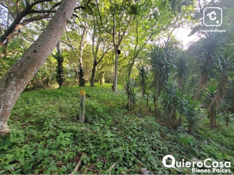 Lot for sale in Villa Fontana, Managua – 2,267 m²