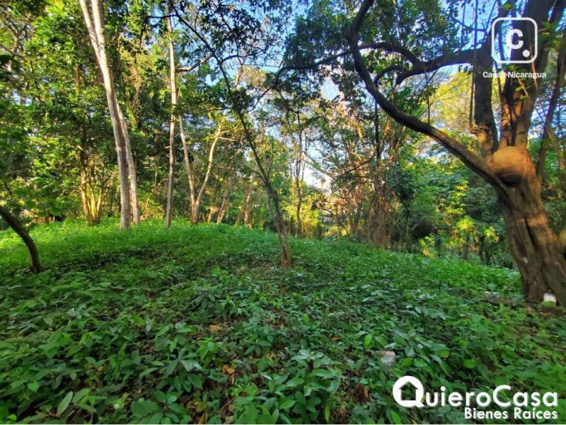 Lot for sale in Villa Fontana, Managua – 2,267 m²