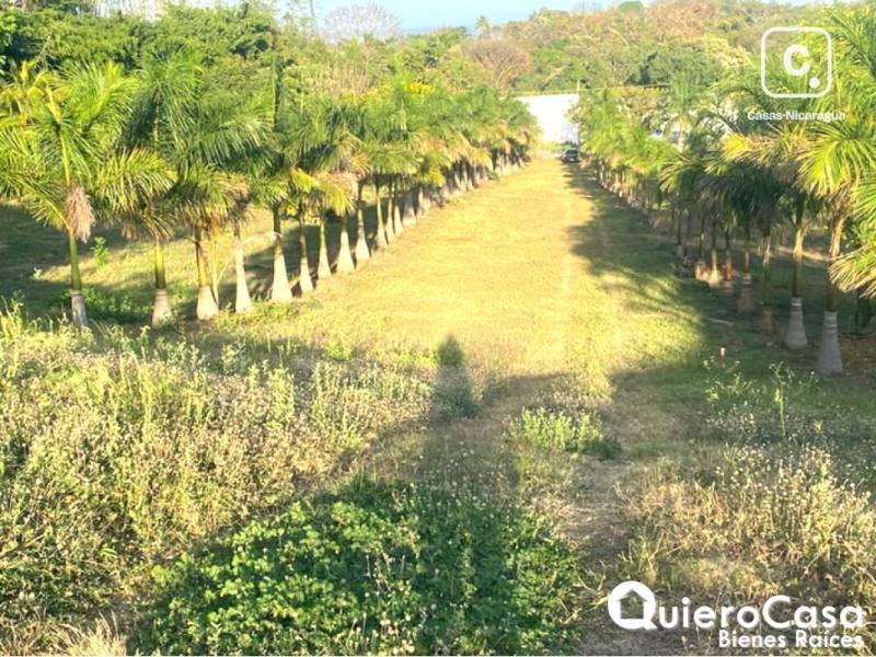 Lot for sale in Santo Domingo, Managua – 13,135 m²