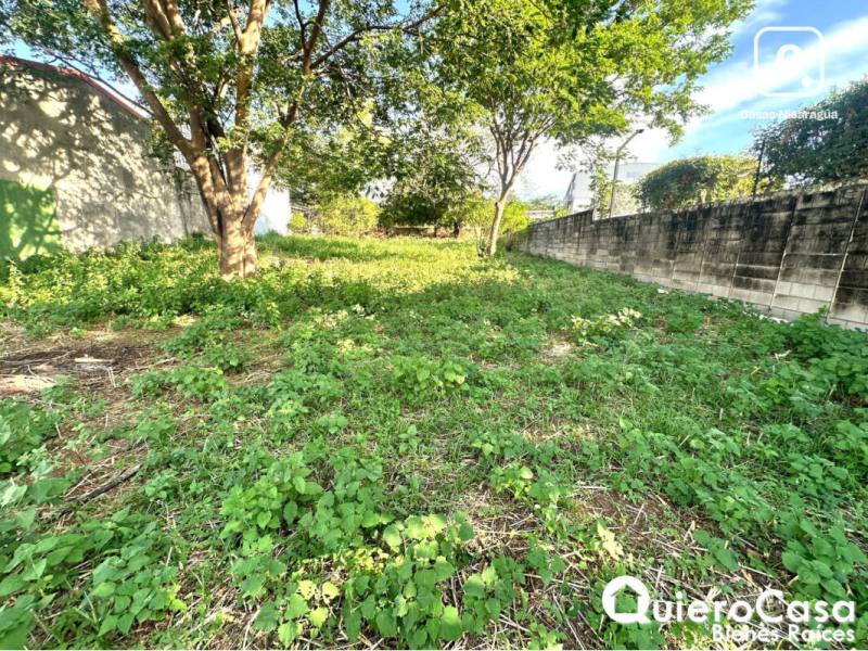 Terreno en venta en Reparto San Juan, Managua – 1,178 m²
