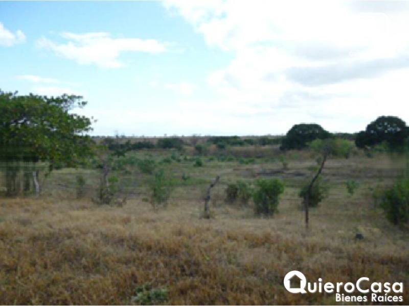 Farm for sale in Colonia Managua, Managua – 279,480 m²