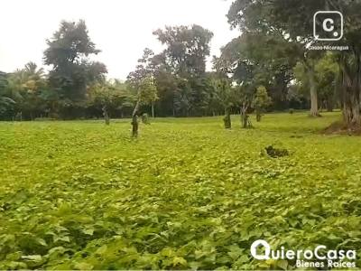 Terreno en venta en Sábana Grande, Managua – 55,896 m²