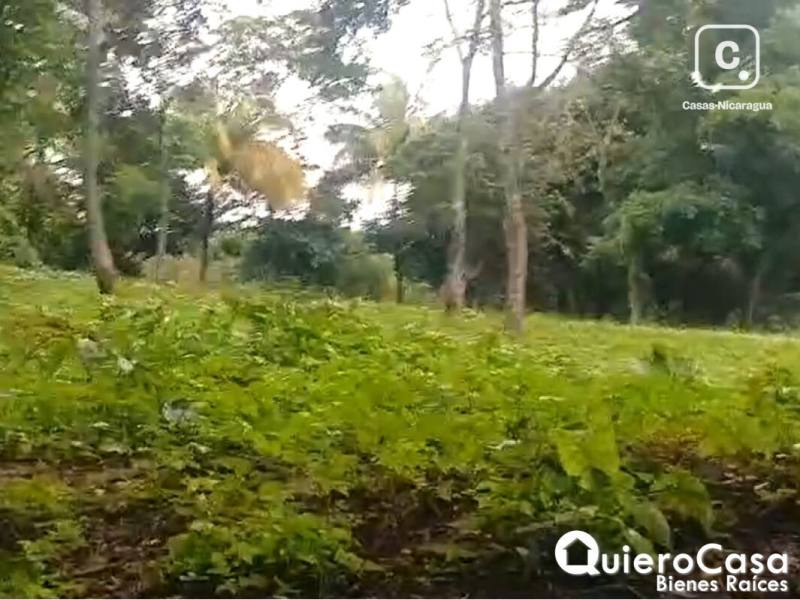 Terreno en venta en Sábana Grande, Managua – 55,896 m²