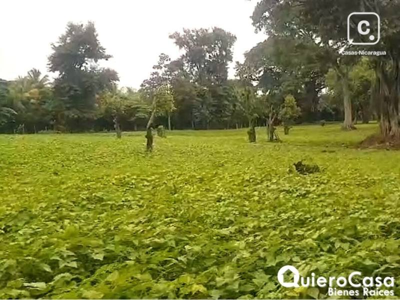 Terreno en venta en Sábana Grande, Managua – 55,896 m²