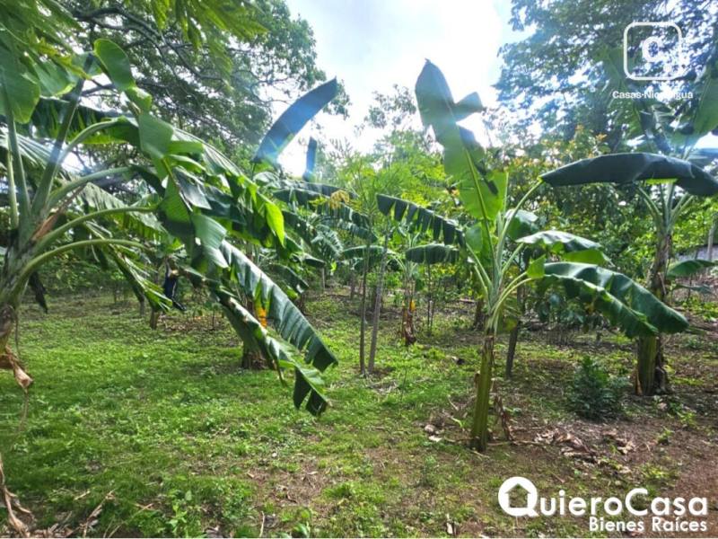 Lot for sale in Carretera Vieja a León, Managua – 6,630 m²