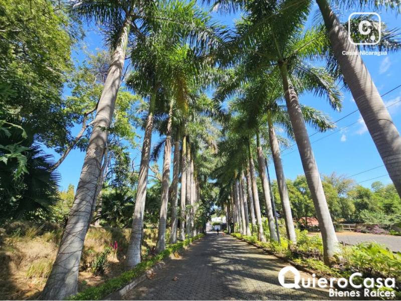 Lot for sale in Santo Domingo, Managua – 1,617 m²