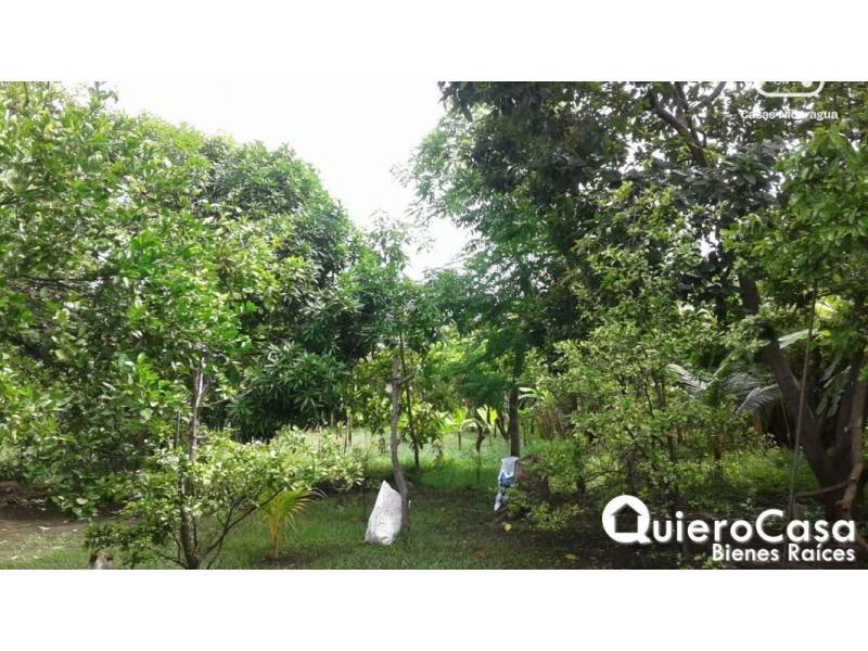 Terreno en venta en Ticuantepe, Managua – 1,259 m²