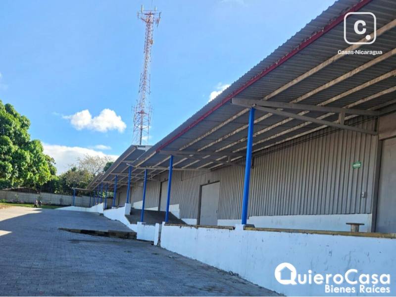Bodega en alquiler en Carretera Masaya, Managua – 300 m², US$ 2,100/mes