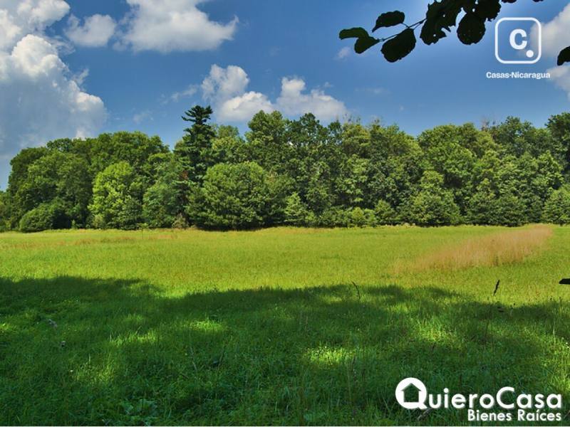 Terreno en venta en Sábana Grande, Managua – 5,589 m²