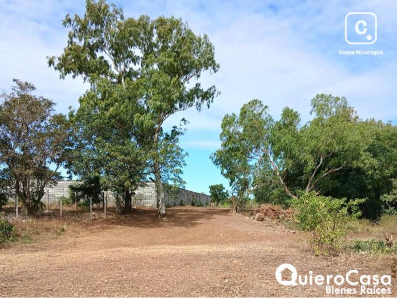 Terreno en venta en Sábana Grande, Managua – 5,589 m²