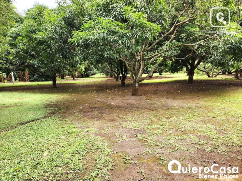 Terreno en venta en Esquipulas, Managua – 26,156 m²