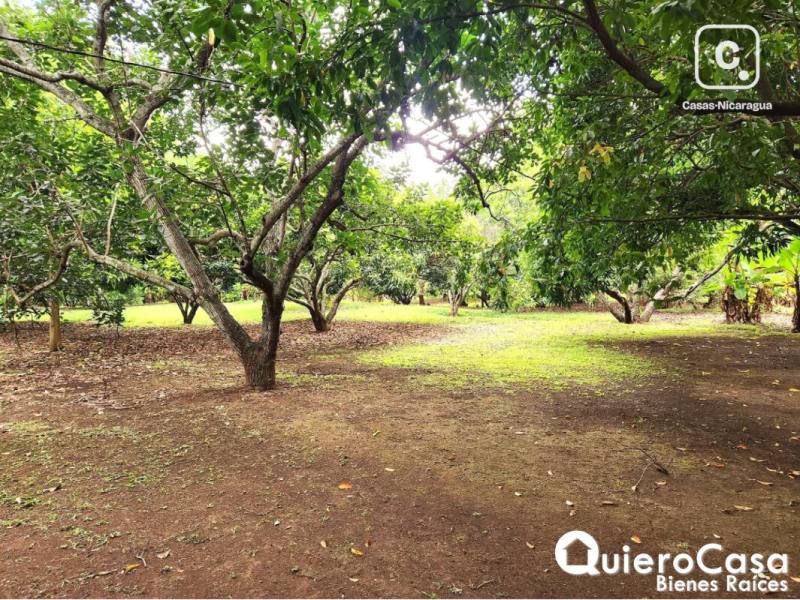Terreno en venta en Esquipulas, Managua – 26,156 m²