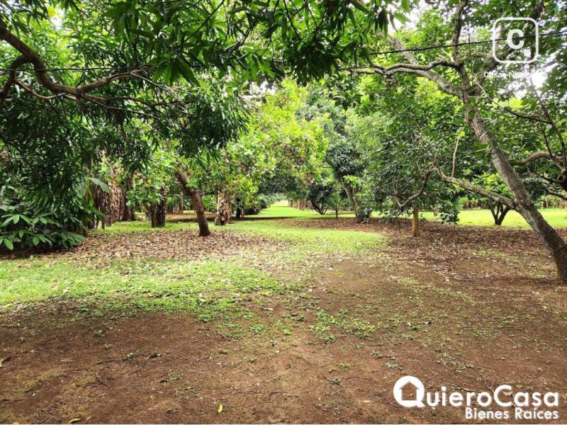 Terreno en venta en Esquipulas, Managua – 26,156 m²