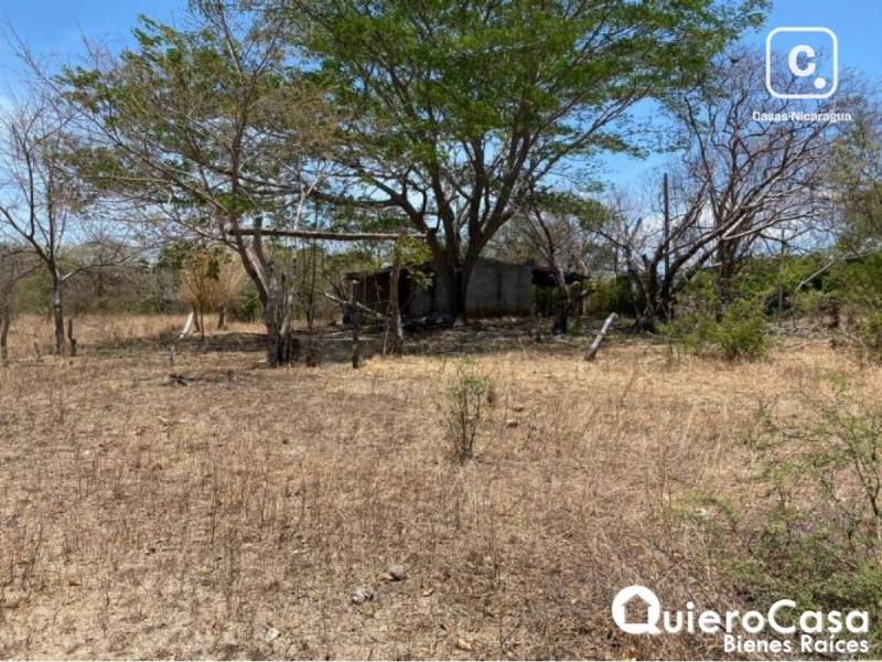 Farm for sale in Rivas – 321,402 m²