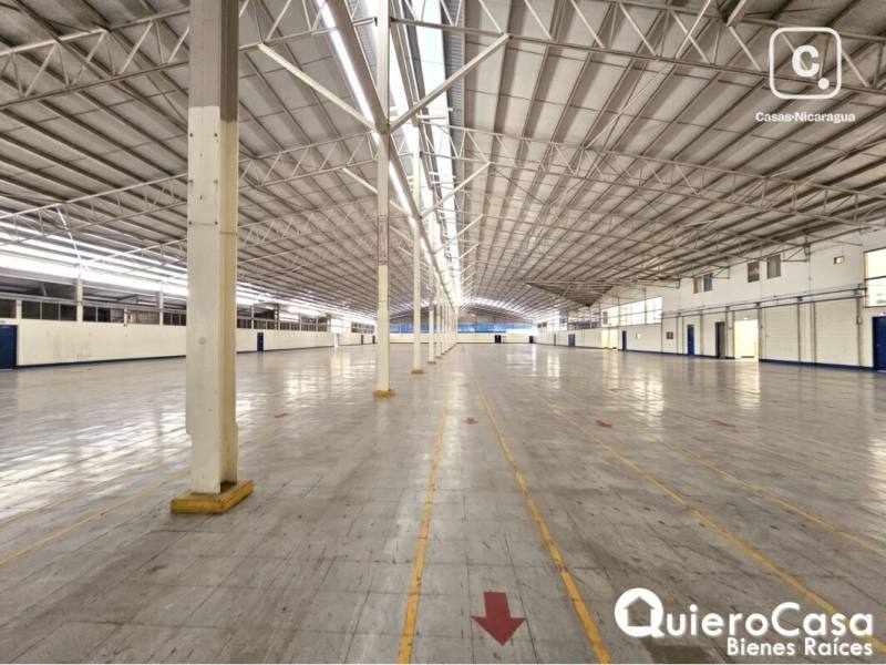 Bodega en alquiler en Colonia Managua, Managua – 5,000 m²