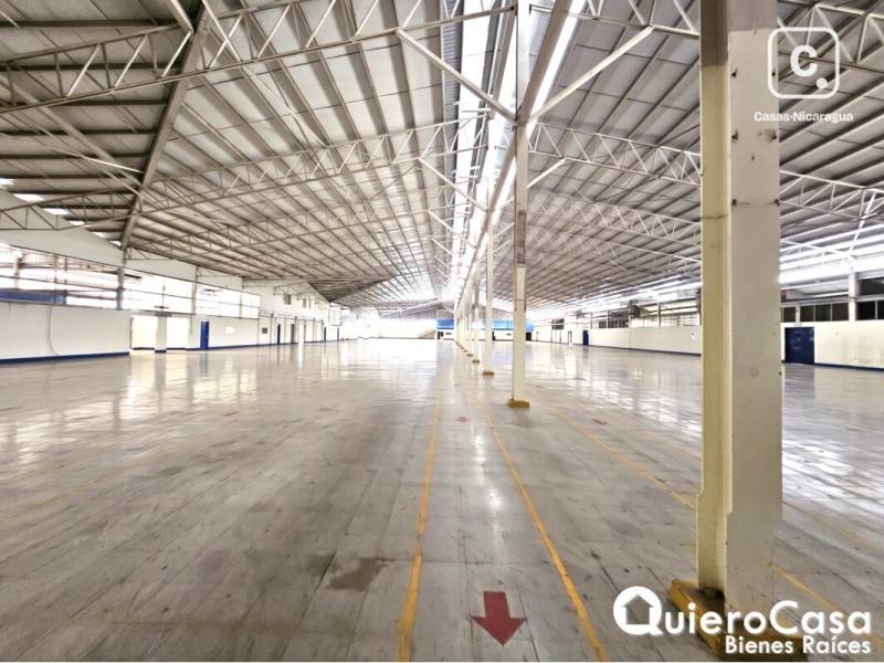 Warehouse for rent in Colonia Managua, Managua – 3,000 m²