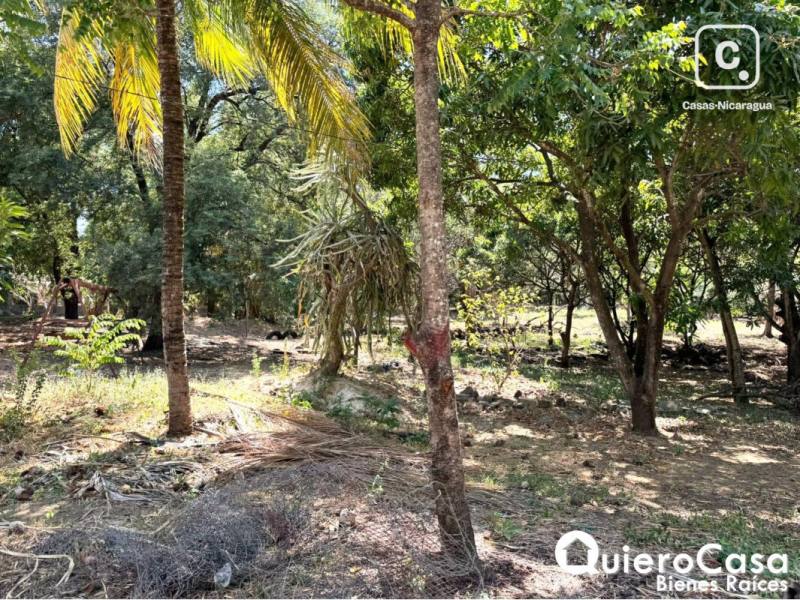 Terreno en venta en Las Jaguitas, Managua – 18,969 m²