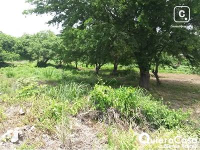 Lot for sale in Carretera Masaya, Managua – 14,293 m²