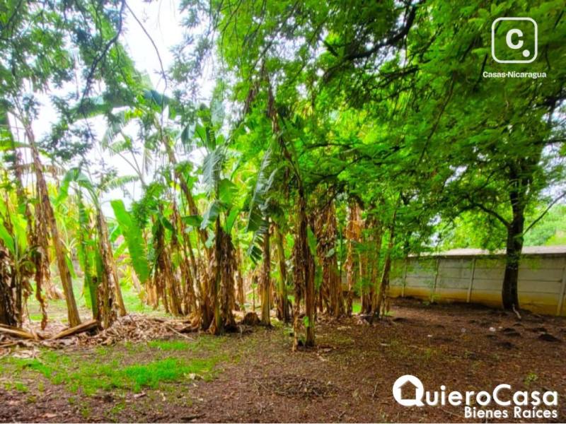 Lot for rent in Carretera Masaya, Managua – 139 m²