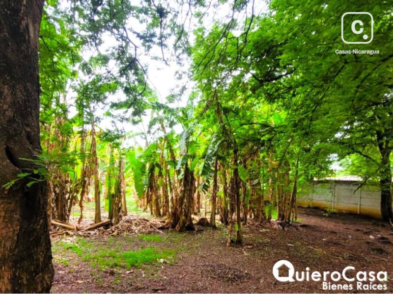Lot for rent in Carretera Masaya, Managua – 139 m²