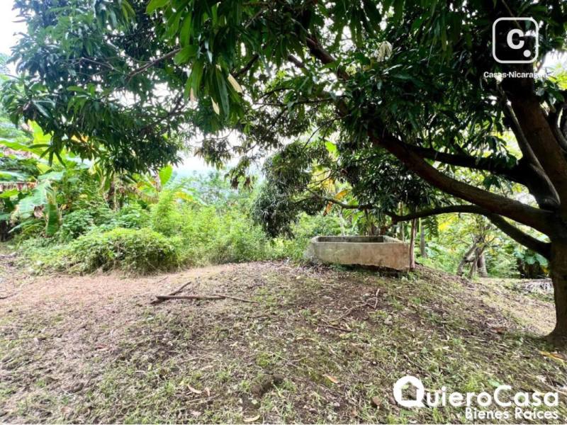 Lot for sale in Managua – 8,384 m²