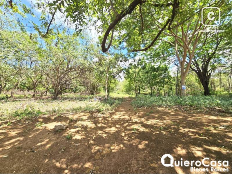 Lot for sale in Las Colinas, Managua – 1,537 m²