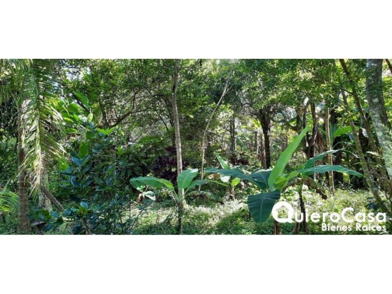 Lot for sale in Niquinohomo, Masaya – 8,174 m²