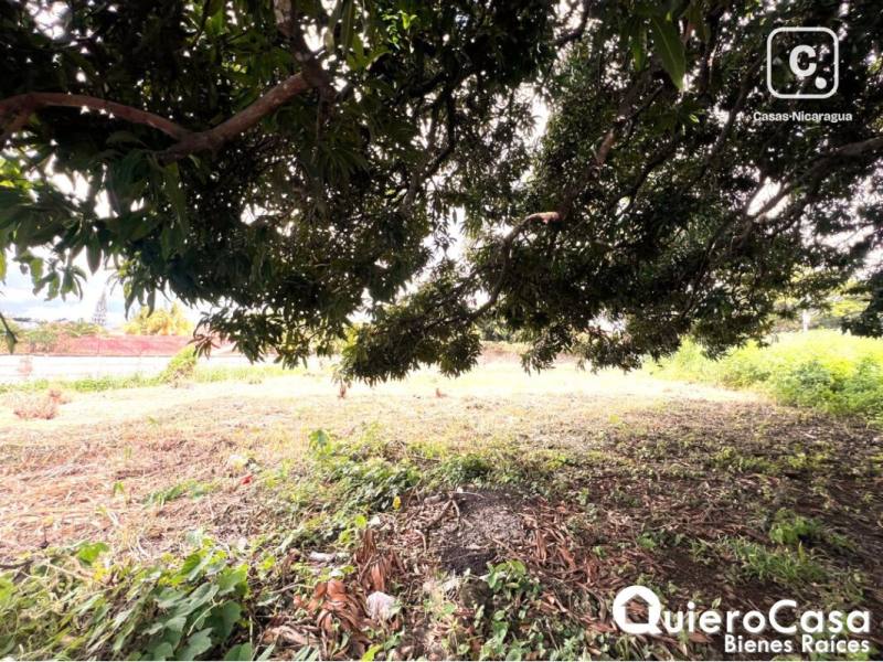 Terreno en venta en Santo Domingo, Managua – 2,938 m²