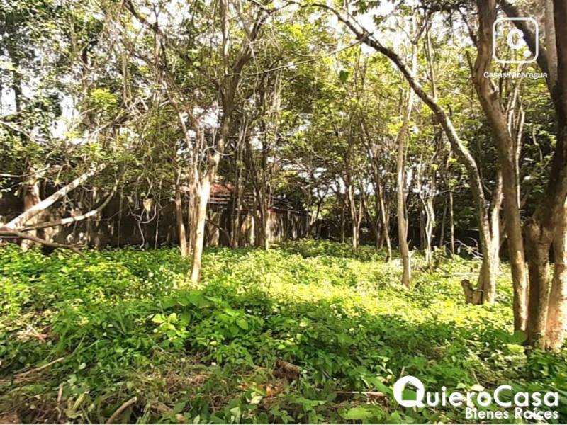 Lot for sale in Carretera Masaya, Managua – 2,355 m²