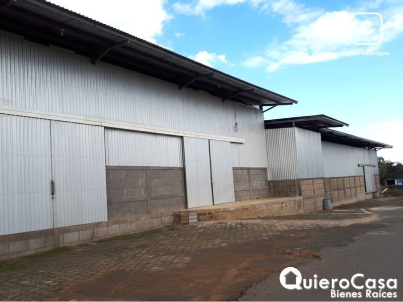 Bodega en alquiler en Carretera Norte, Managua – 600 m²
