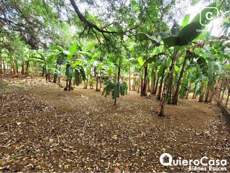 Terreno en venta en Carretera Masaya, Managua – 3,310 m²