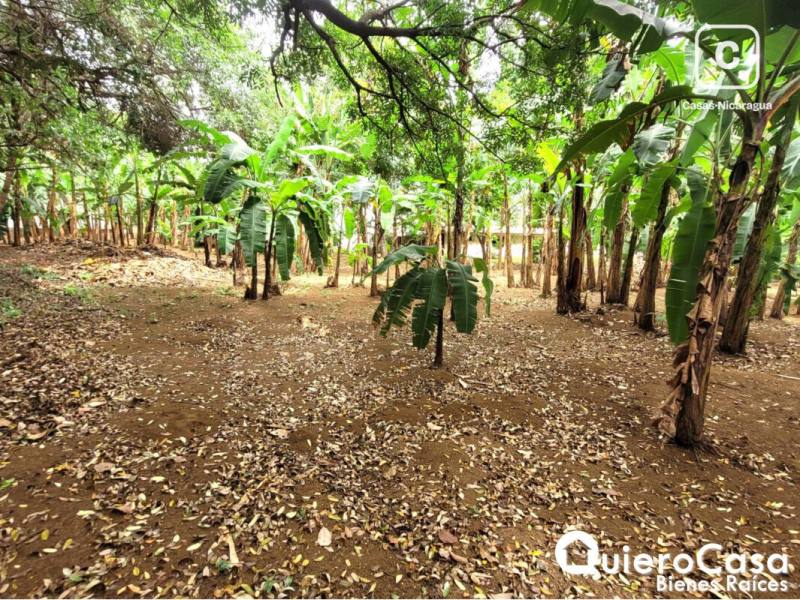 Terreno en venta en Carretera Masaya, Managua – 3,310 m²