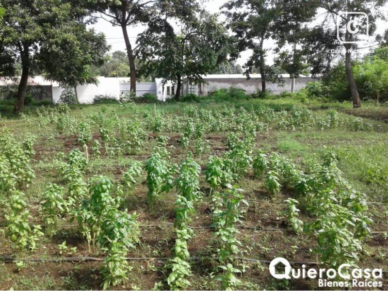 Lot for sale in Santo Domingo, Managua – 746 m²
