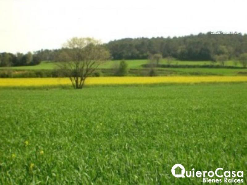 Terreno en venta en Sábana Grande, Managua – 13,974 m²