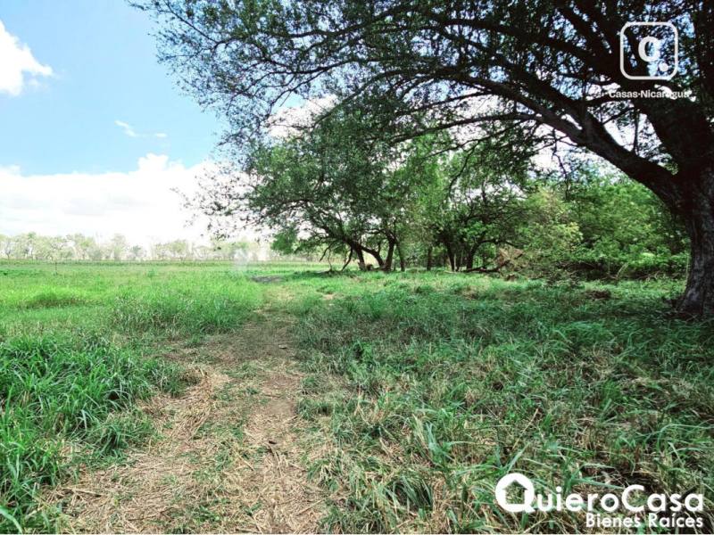 Terreno en venta en Sábana Grande, Managua – 97,818 m²