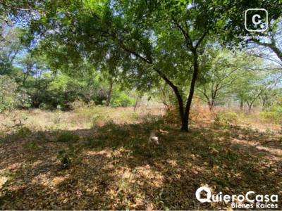 Terreno en venta en Sábana Grande, Managua – 48,909 m²