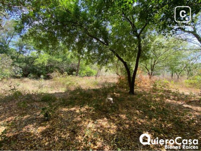 Terreno en venta en Sábana Grande, Managua – 48,909 m²
