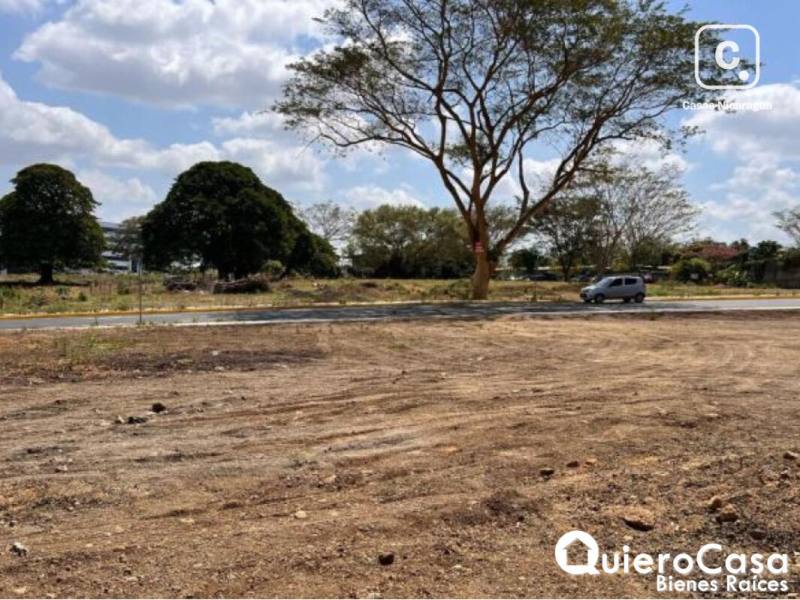 Lot for rent in Villa Fontana, Managua – 1,117 m²