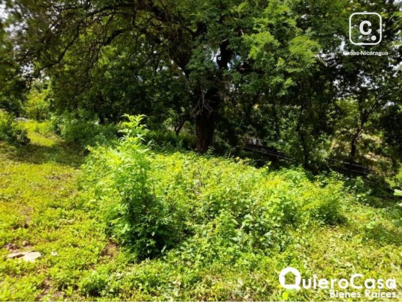 Lot for sale in Esquipulas, Managua – 125 m²