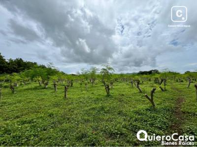 Terreno en venta en Managua – 419,220 m²
