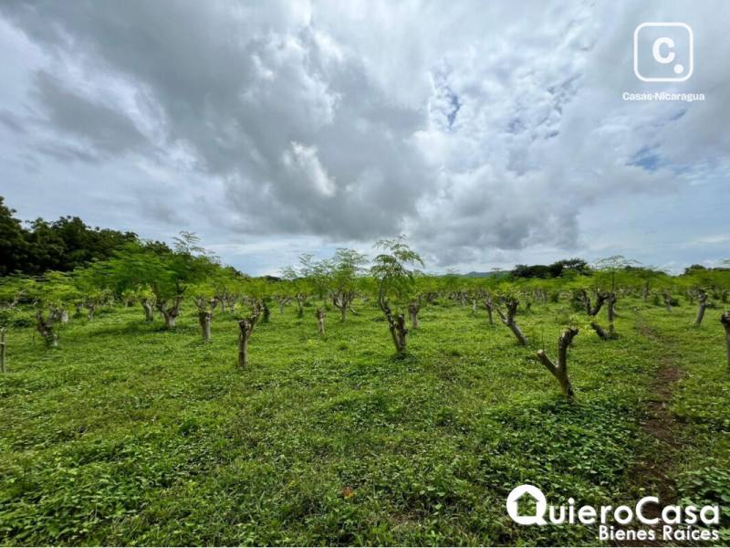 Lot for sale in Managua – 419,220 m²