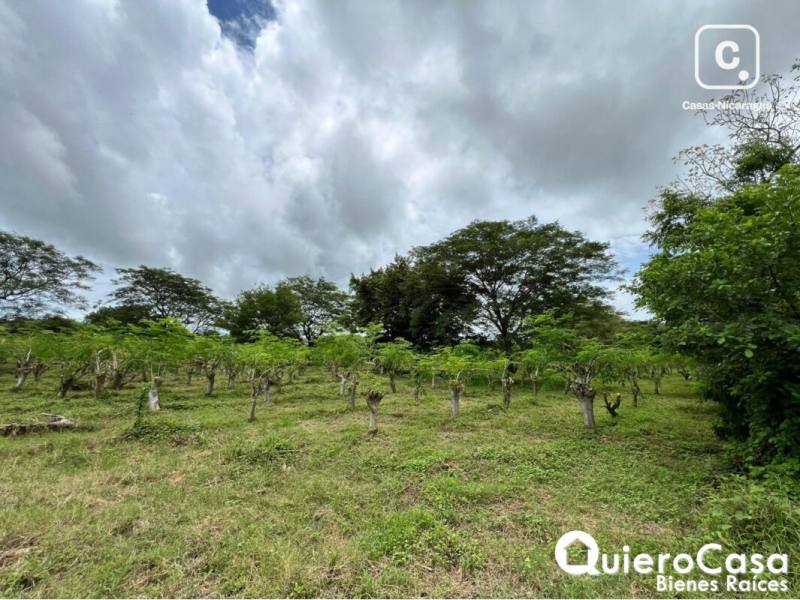 Lot for sale in Managua – 419,220 m²