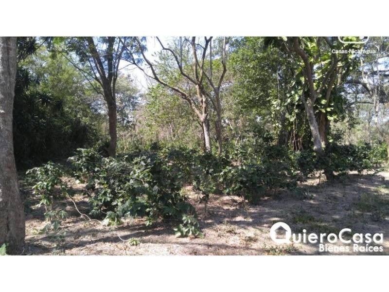 Lot for sale in Diriamba, Carazo – 13,974 m²