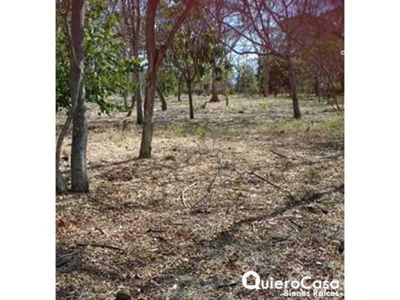 Lot for sale in Carretera Masaya, Managua – 5,240 m²
