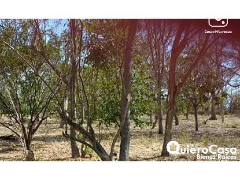 Lot for sale in Carretera Masaya, Managua – 5,240 m²