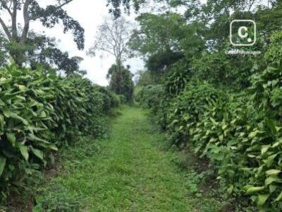 House for sale in San Marcos, Carazo – 600,000 m²