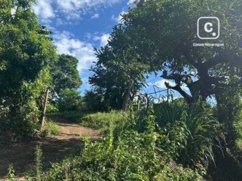 House for sale in Colonia Managua, Managua – 5,904 m²