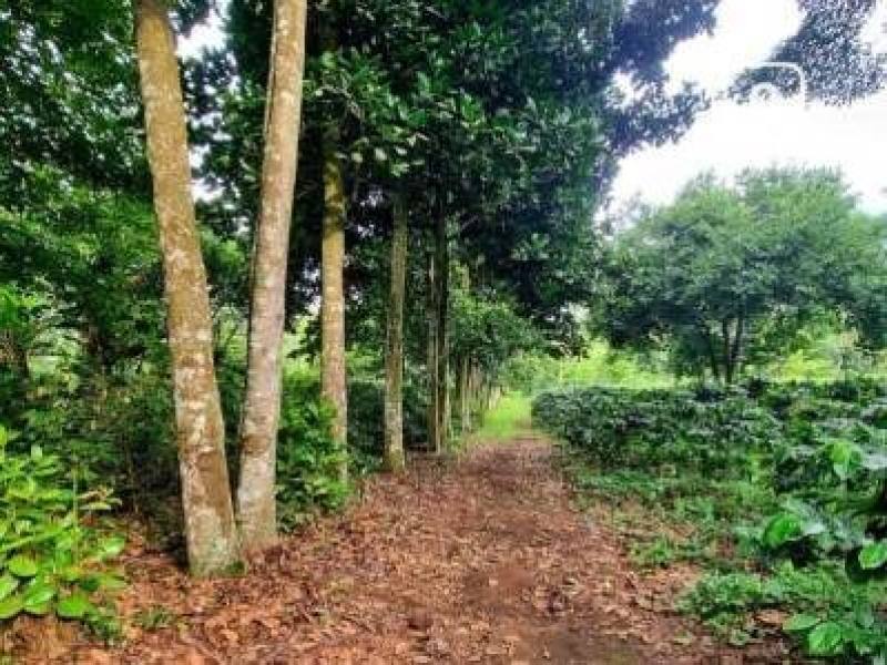 House for sale in San Marcos, Carazo – 750,000 m²
