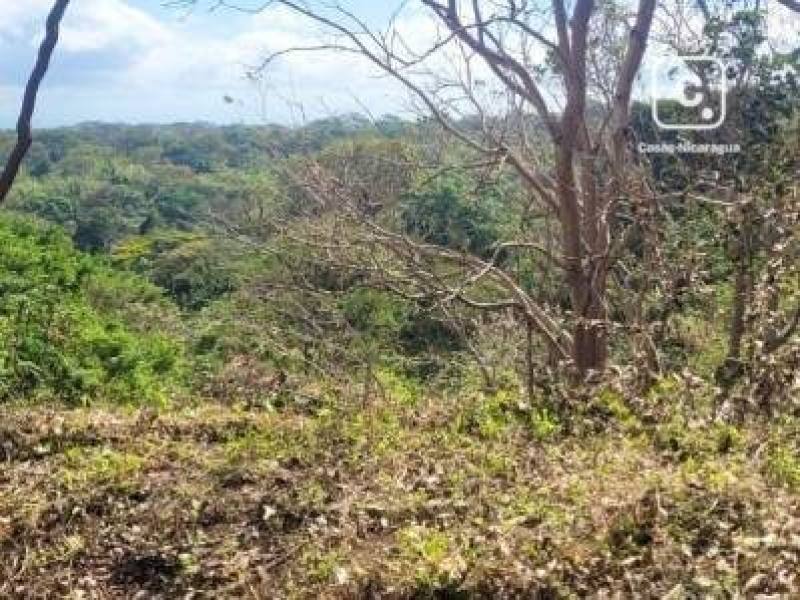 House for sale in Colonia Managua, Managua – 1,927 m²